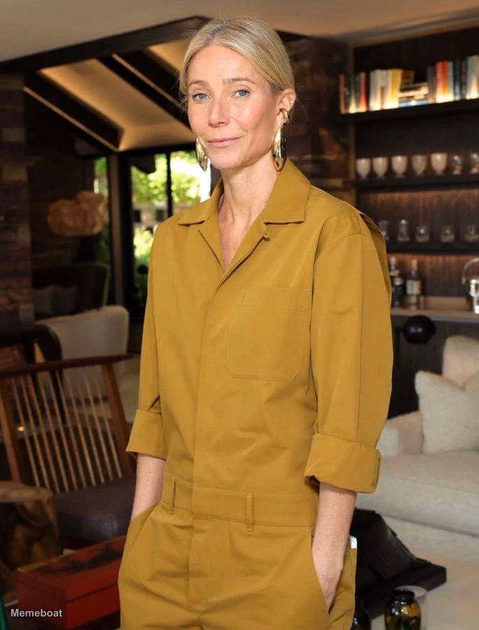 Gwyneth Paltrow Chill Girl - meme generator image preview