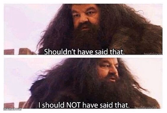Hagrid shouldn't have said that - meme generator image preview