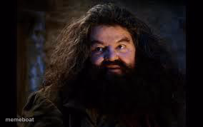 hagrid yer a wizard - meme generator image preview
