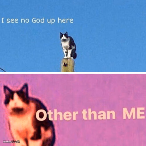 Hail pole cat - meme generator image preview