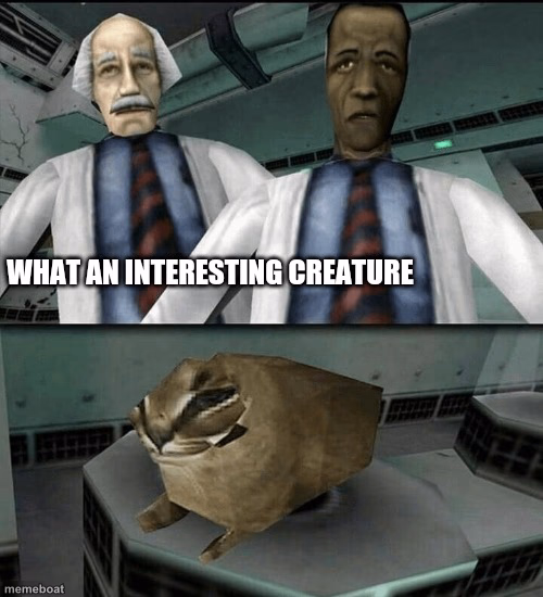 Half life floppa - meme generator image preview