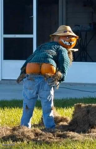 Halloween Moo - meme generator image preview
