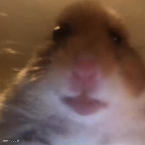 Hampter - meme generator image preview