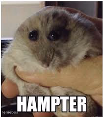 hampter - meme generator image preview