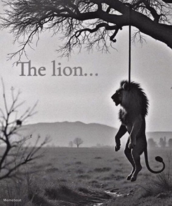Hanged Lion - meme generator image preview