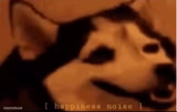 [hapiness noise]