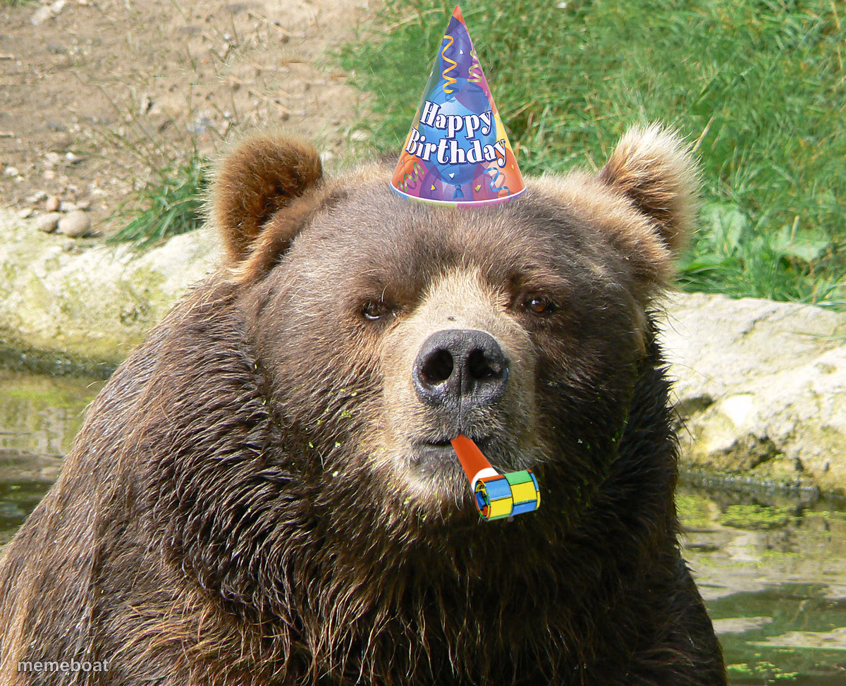 Happy Birthday Bear - meme generator image preview