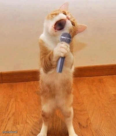 Happy birthday day  Maureeeennn from the singing cat! - meme generator image preview