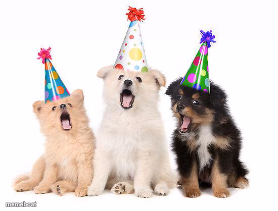 happy birthday puppies - meme generator image preview