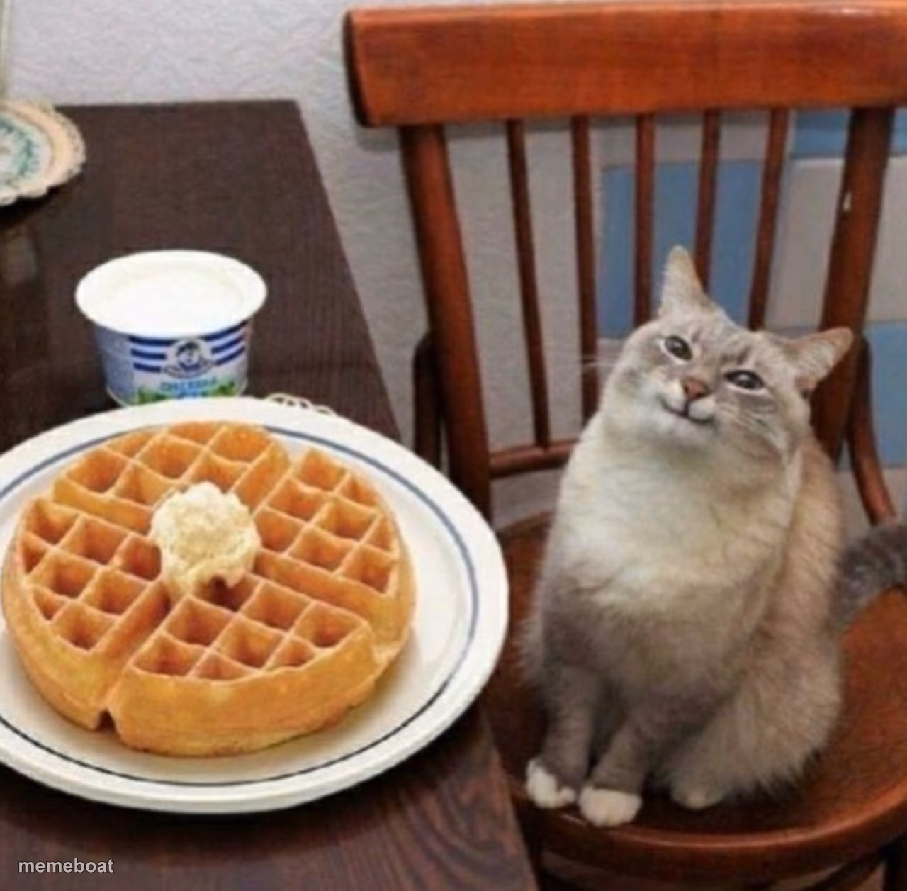 Happy cat with waffle - meme generator image preview