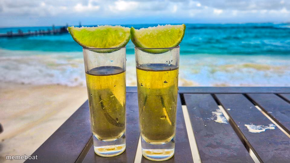 Happy Cinco de Mayo! - meme generator image preview