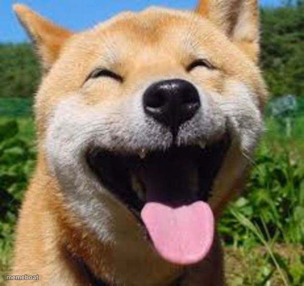 Happy Doge - meme generator image preview