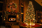 Happy Holidays