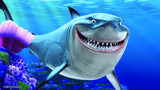 Happy Shark