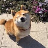 Happy Shober