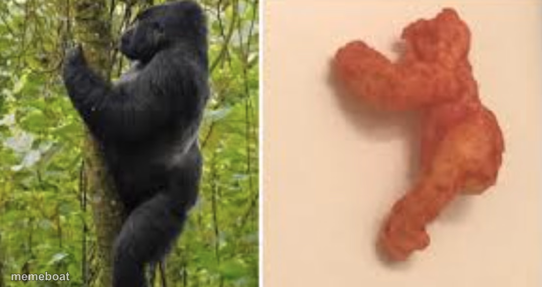 Harambe Cheeto - meme generator image preview