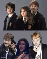 Harry Potter Hermiona Granger Ron Wesley