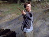 Harry Potter Yelling