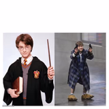 Harry vs HARRY