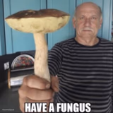 have a fungus