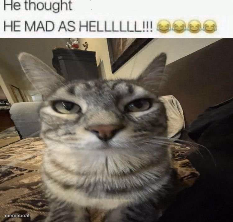 He mad as hell - meme generator image preview