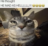 He mad as hell