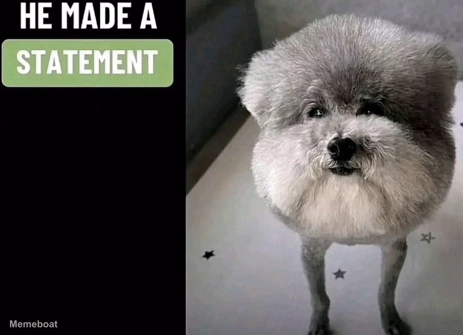 He Made a Statement - meme generator image preview