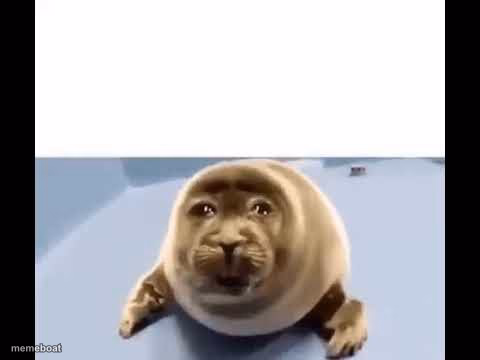 he was forced to eat cement - meme generator image preview
