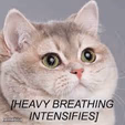 Heavy Breathing Cat