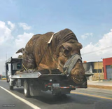 Heavy Transport