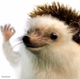 Hedgehog Okay Hand