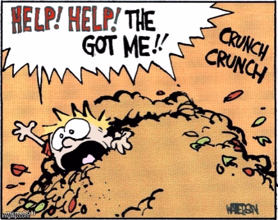 HELP HELP! THE x GOT ME - meme generator image preview