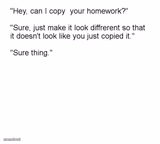 "Hey, Can I Copy Your Homework?"