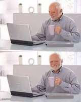 Hide the pain harald