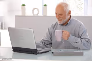 Hide the Pain Harold