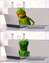 Hide The Pain Kermit