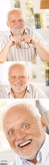 Hide the pun Harold