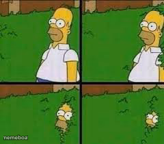 hiding - meme generator image preview