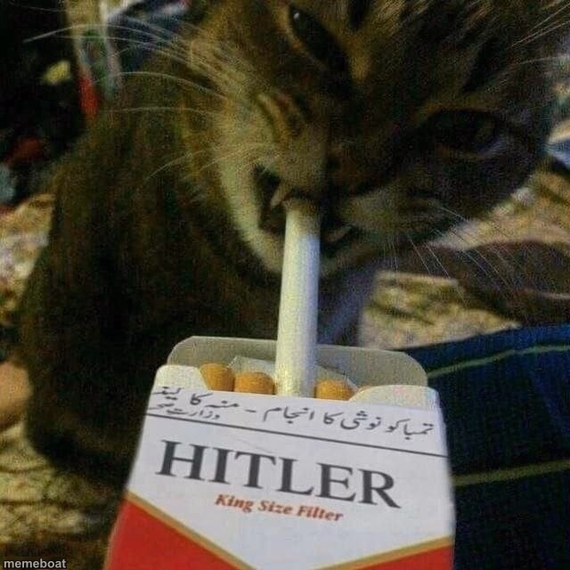 Hitler - meme generator image preview
