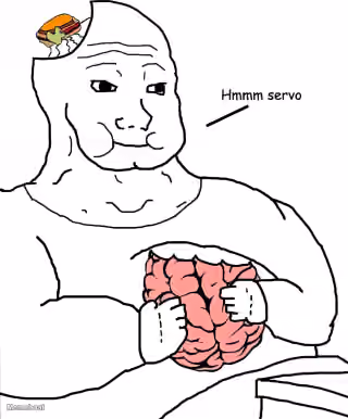 Hmmm Servo