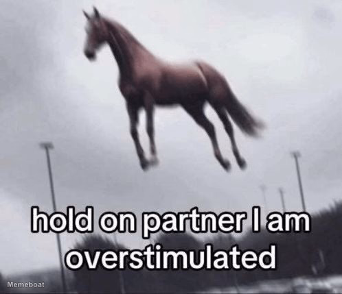 Hold on Partner I Am Overstimulated Horse - meme generator image preview