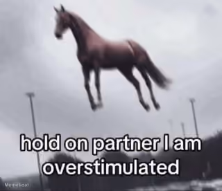 Hold on Partner I Am Overstimulated Horse