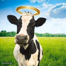 Holy Cow - meme generator image preview