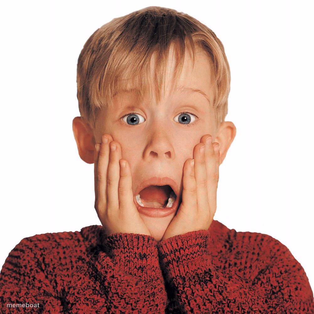 Home Alone Face - meme generator image preview