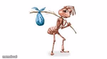 Homeless ant