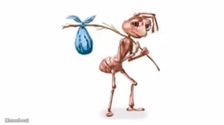 Homeless ant