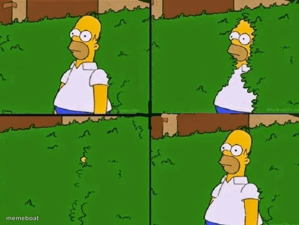 HOMER BUSH - meme generator image preview