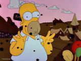 Homer Chocolate