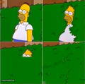 homer disappearing