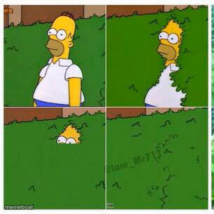 Homer hides - meme generator image preview